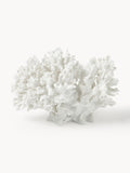Coral Design Decorative Object