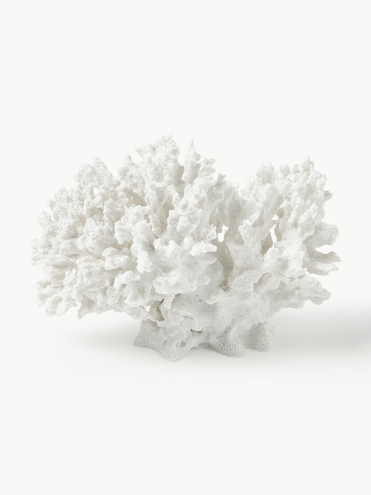 Coral Design Decorative Object