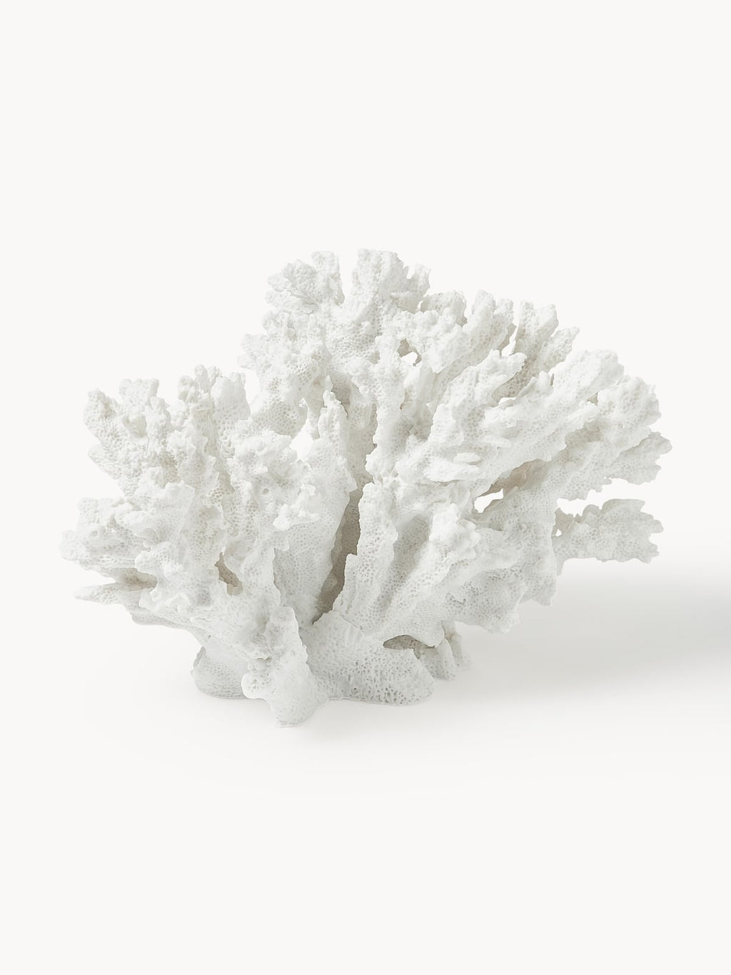 Coral Design Decorative Object