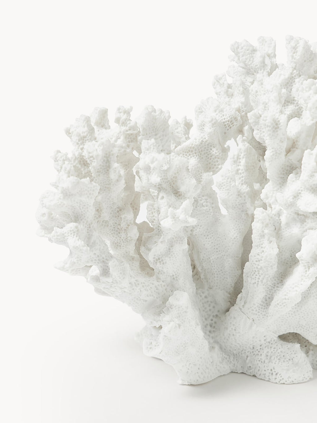 Coral Design Decorative Object