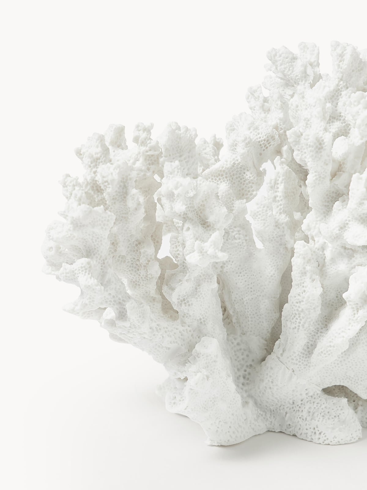 Coral Design Decorative Object