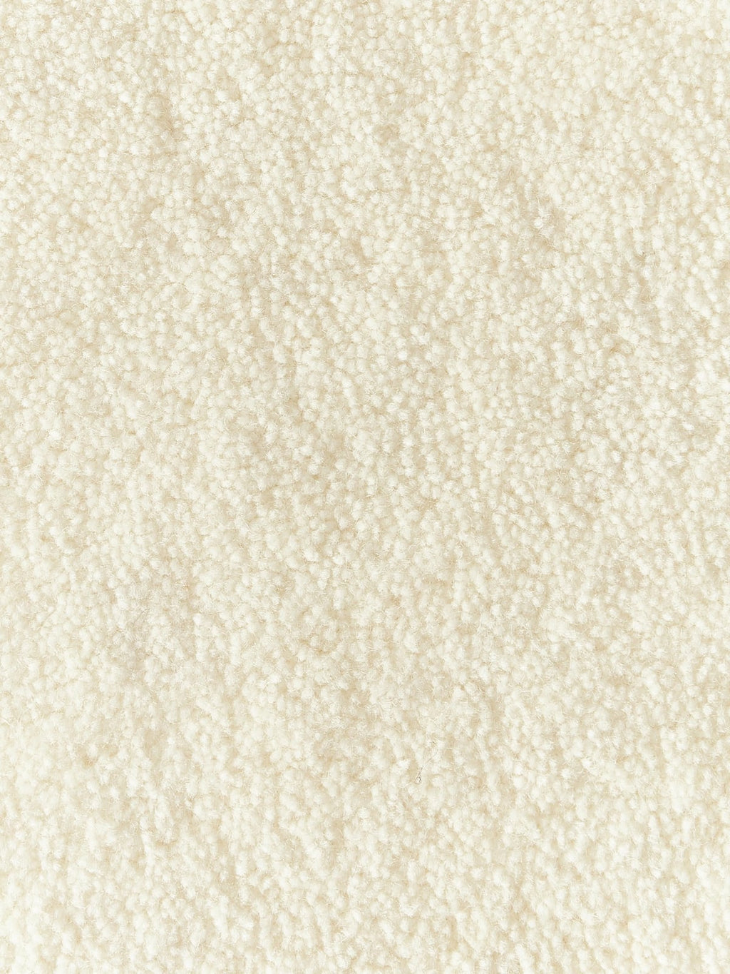 Kadey Organic-Shaped Hand-Tufted Wool Rug