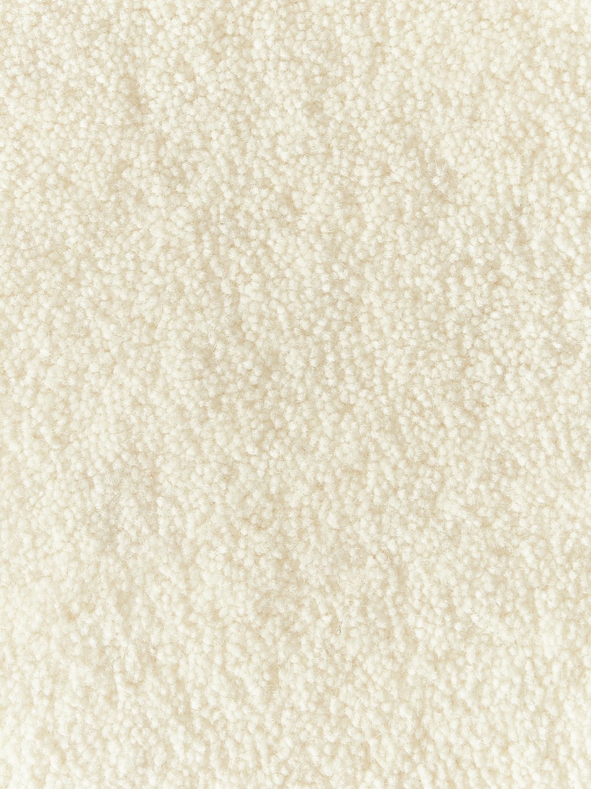 Kadey Organic-Shaped Hand-Tufted Wool Rug