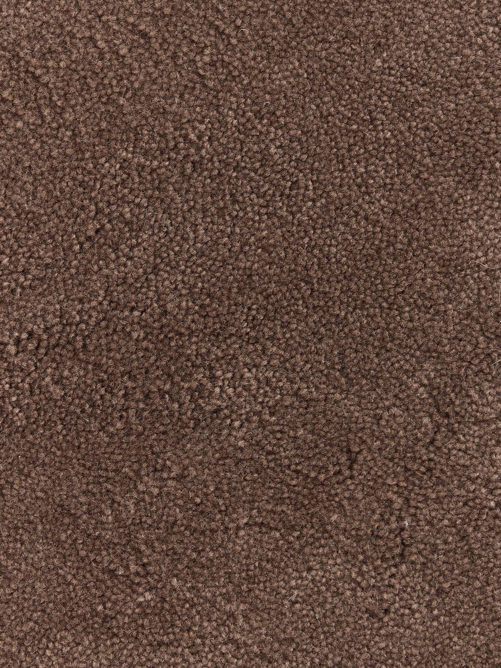 Kadey Organic-Shaped Hand-Tufted Wool Rug