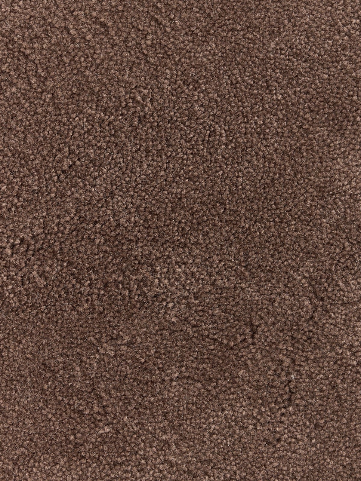 Kadey Organic-Shaped Hand-Tufted Wool Rug
