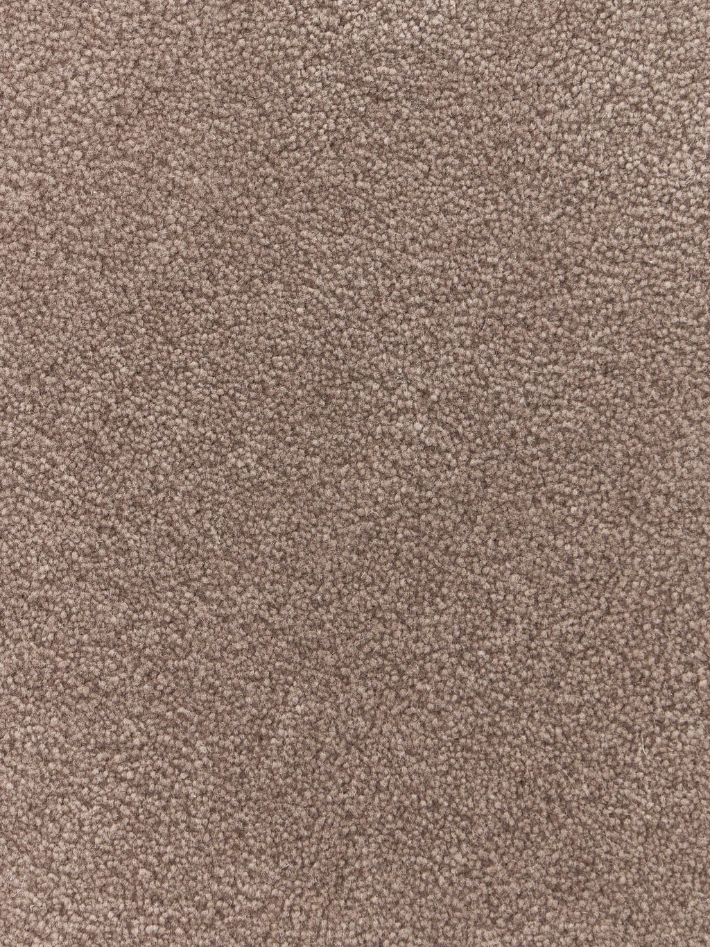 Kadey Organic-Shaped Hand-Tufted Wool Rug