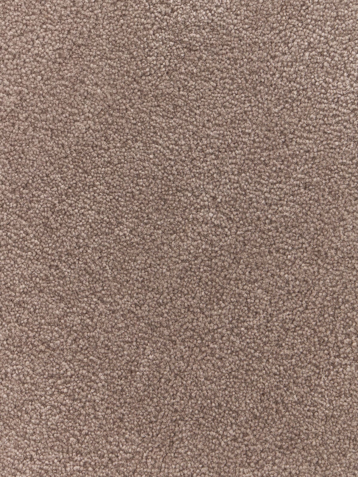 Kadey Organic-Shaped Hand-Tufted Wool Rug
