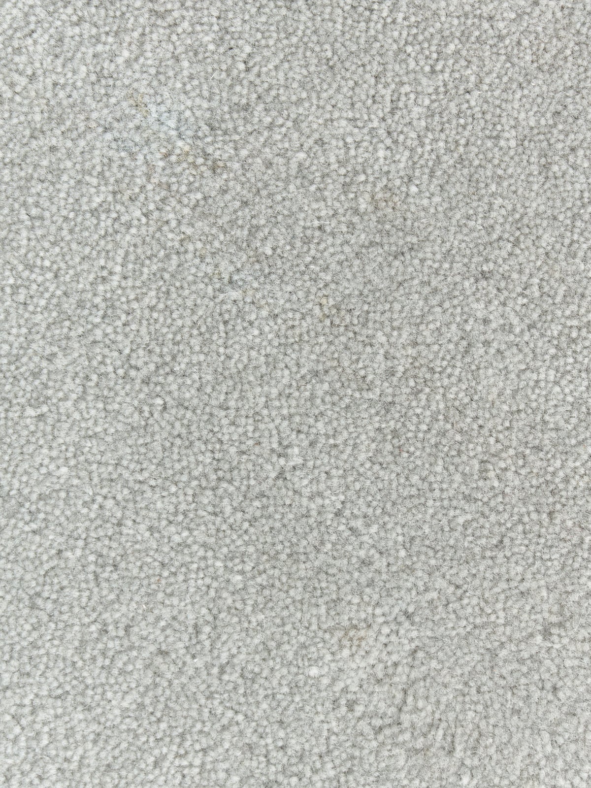 Kadey Organic-Shaped Hand-Tufted Wool Rug