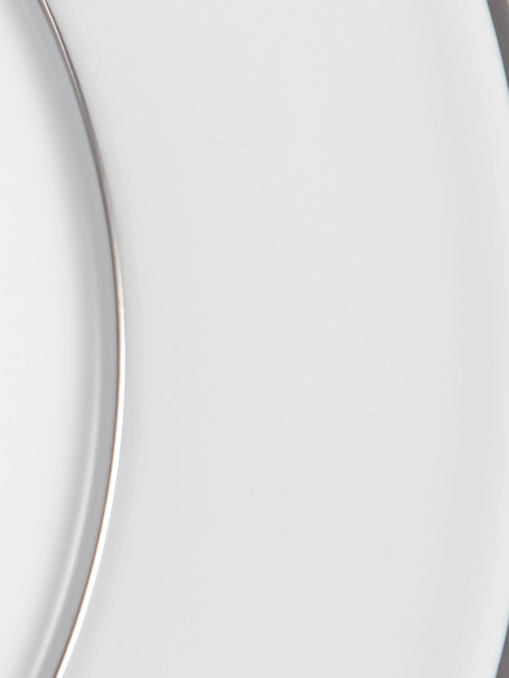 Vitruv Handmade Porcelain Dinner Plates with Platinum Rim, Set of 2