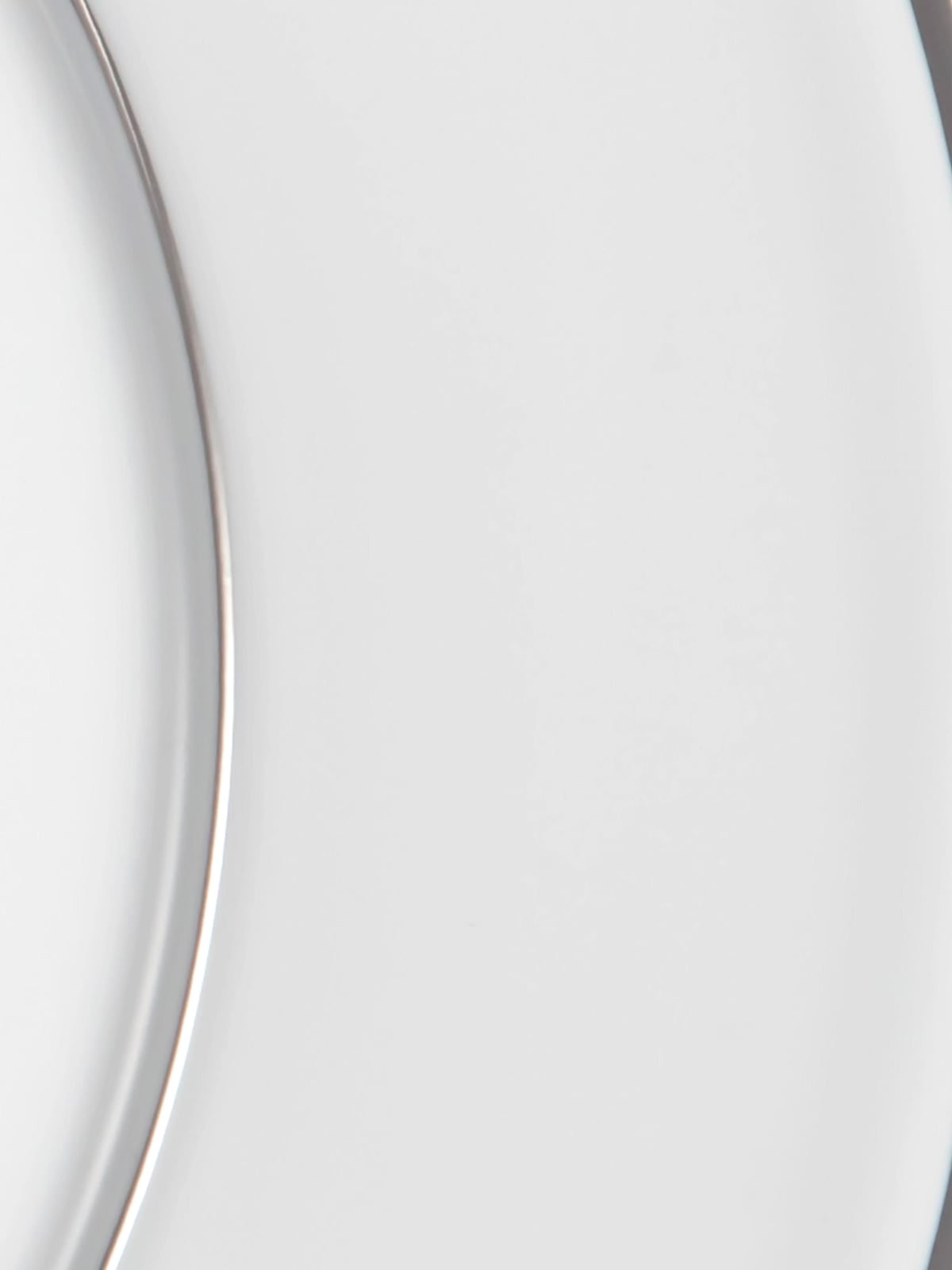 Vitruv Handmade Porcelain Dinner Plates with Platinum Rim, Set of 2