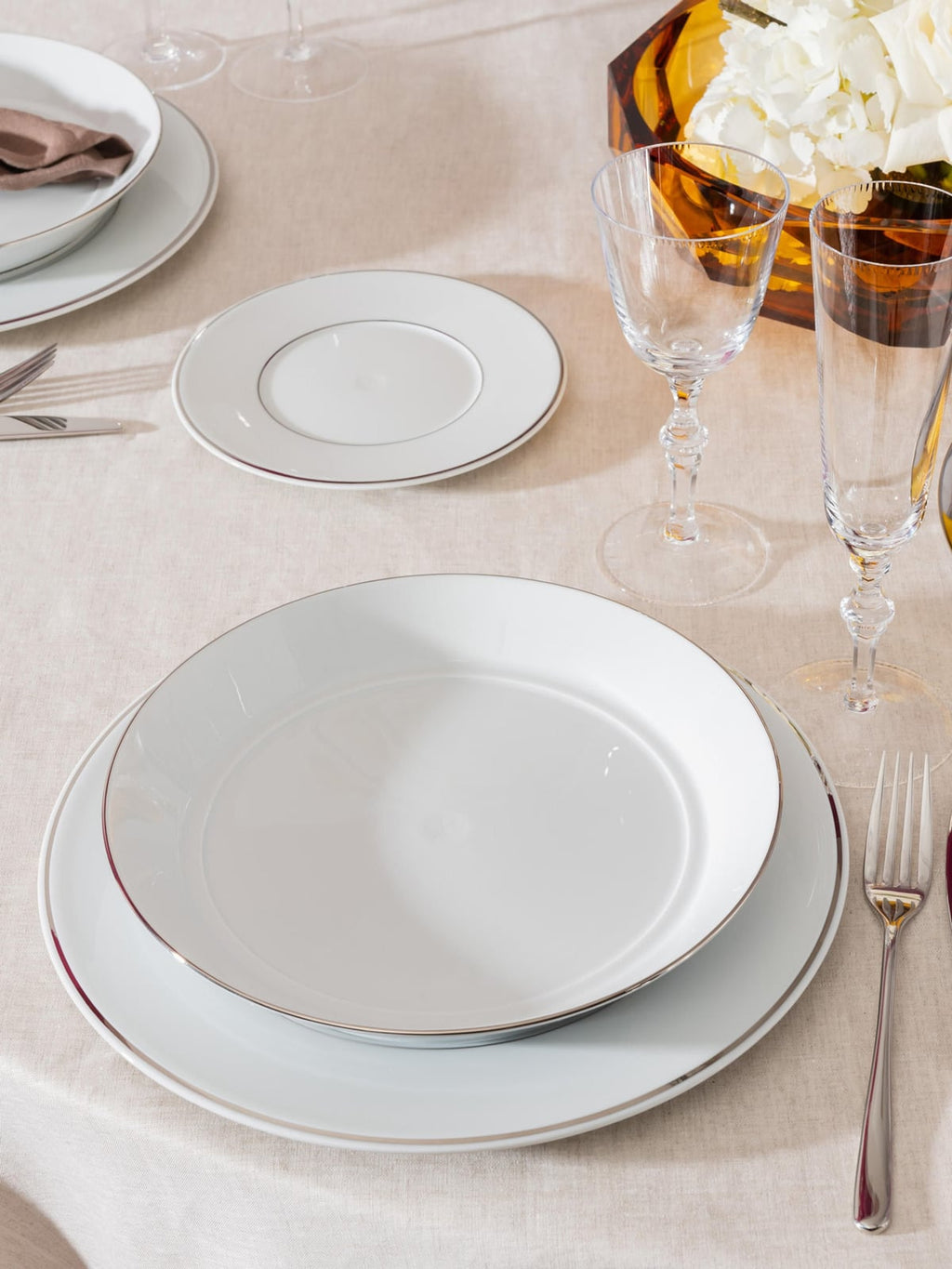 Vitruv Handmade Porcelain Dinner Plates with Platinum Rim, Set of 2