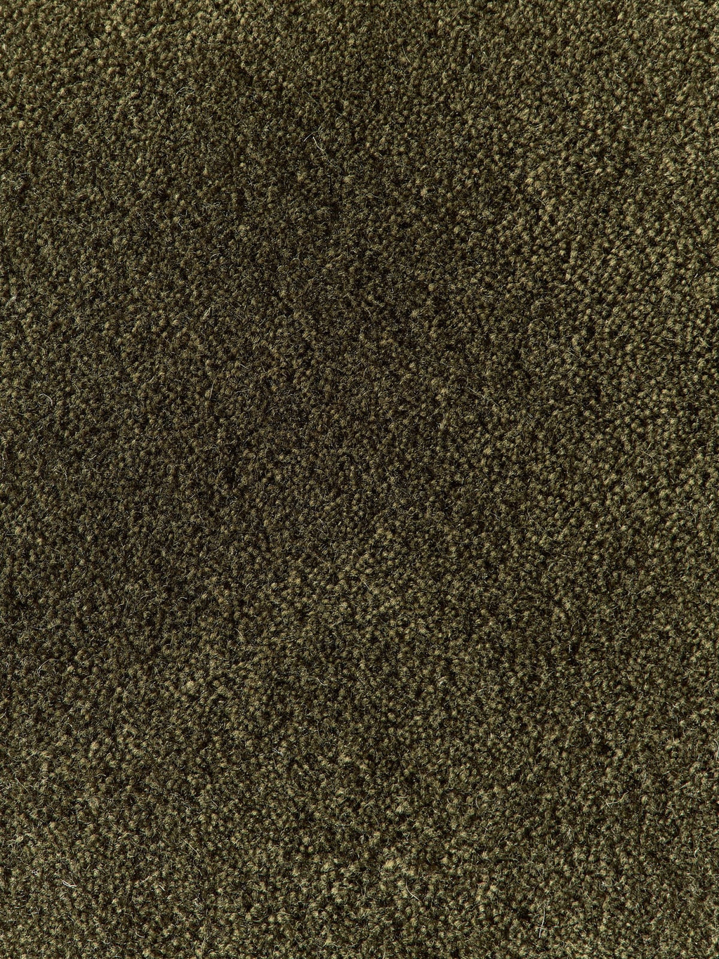 Zayne Hand-Tufted Wool Rug