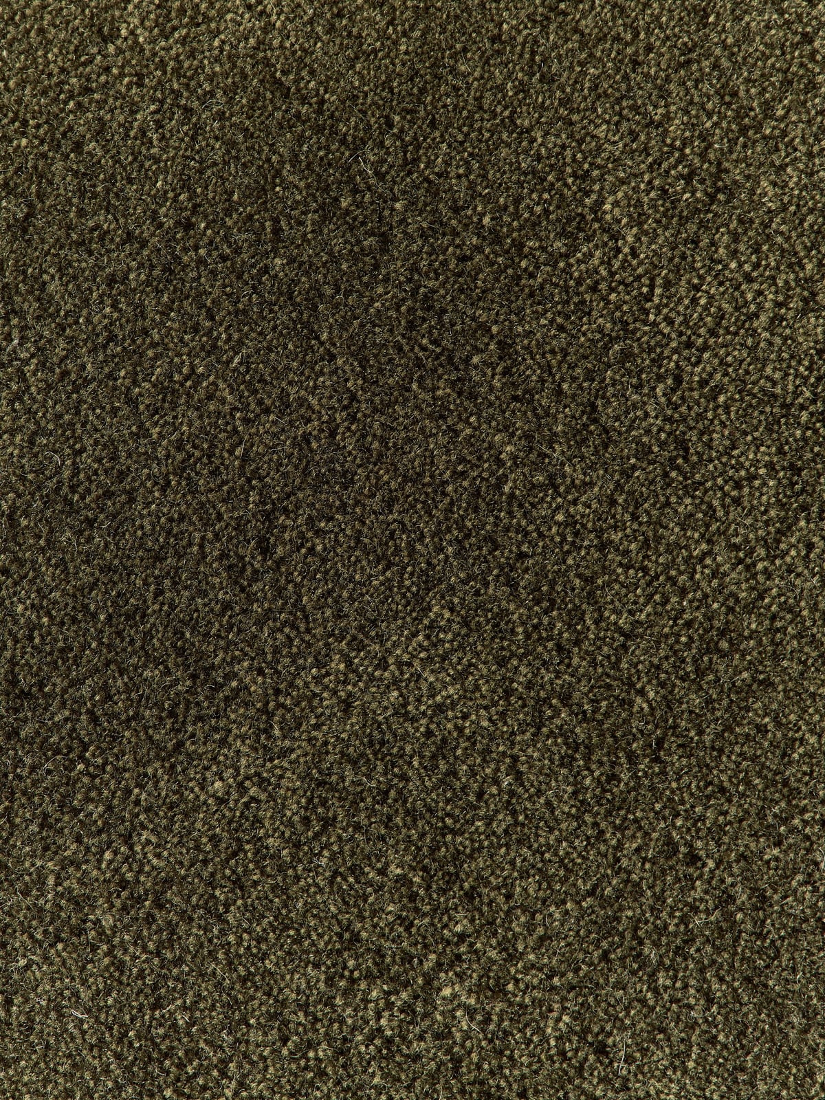 Zayne Hand-Tufted Wool Rug
