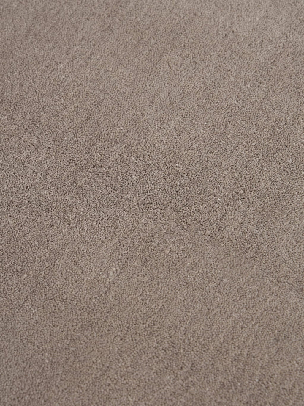 Zayne Hand-Tufted Wool Rug