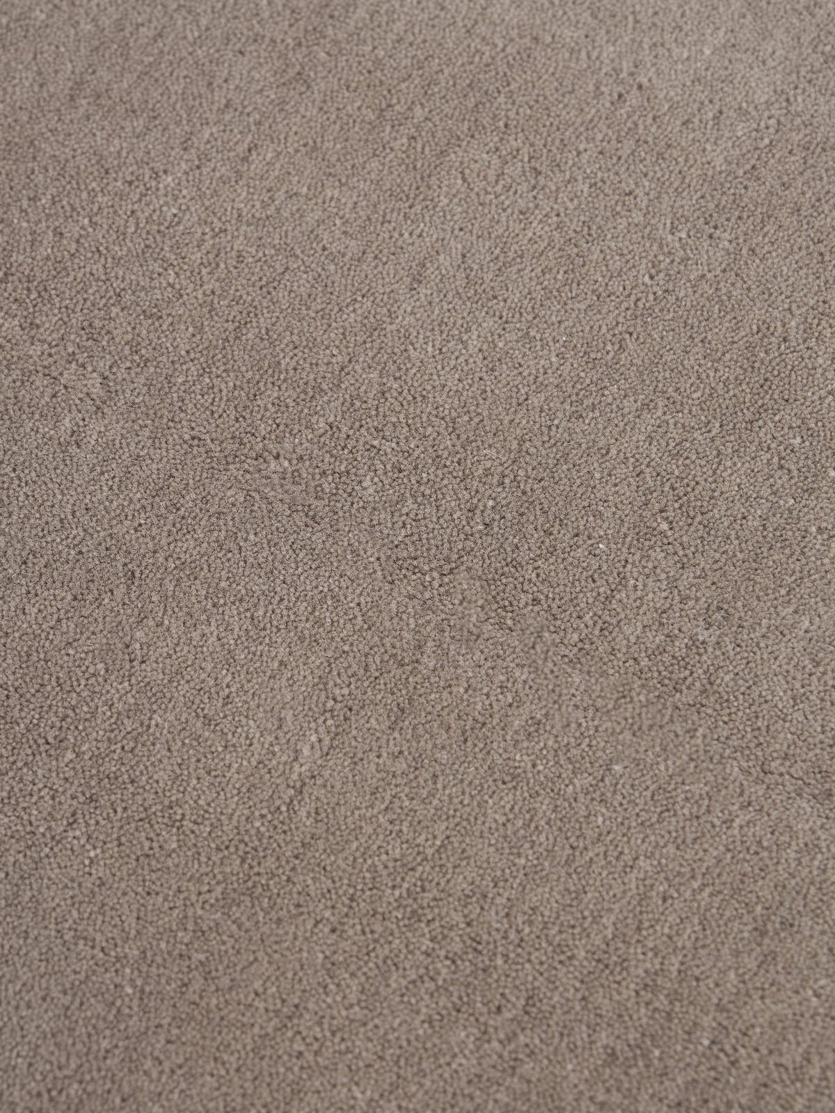 Zayne Hand-Tufted Wool Rug