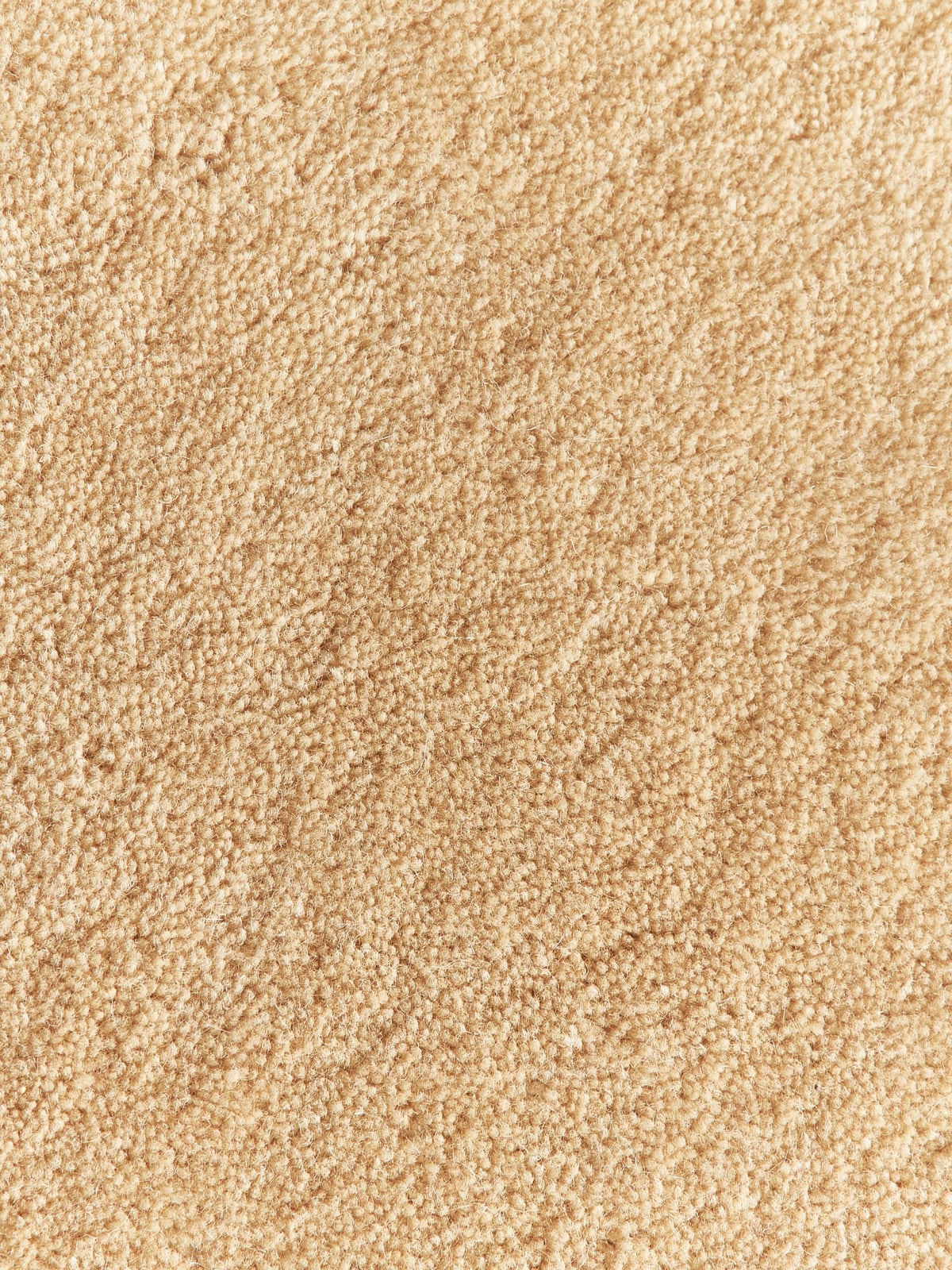Zayne Hand-Tufted Wool Rug